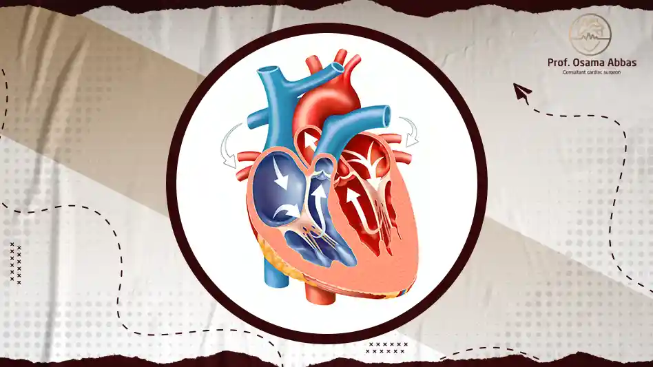 ماهو خلل الانبساط من الدرجة الأولى؟