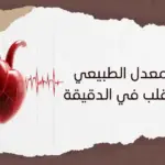 ما هو المعدل الطبيعي لضربات القلب في الدقيقة
