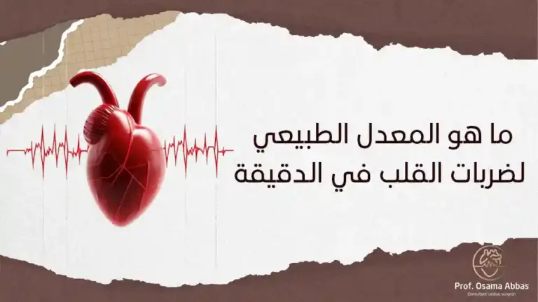 ما هو المعدل الطبيعي لضربات القلب في الدقيقة؟