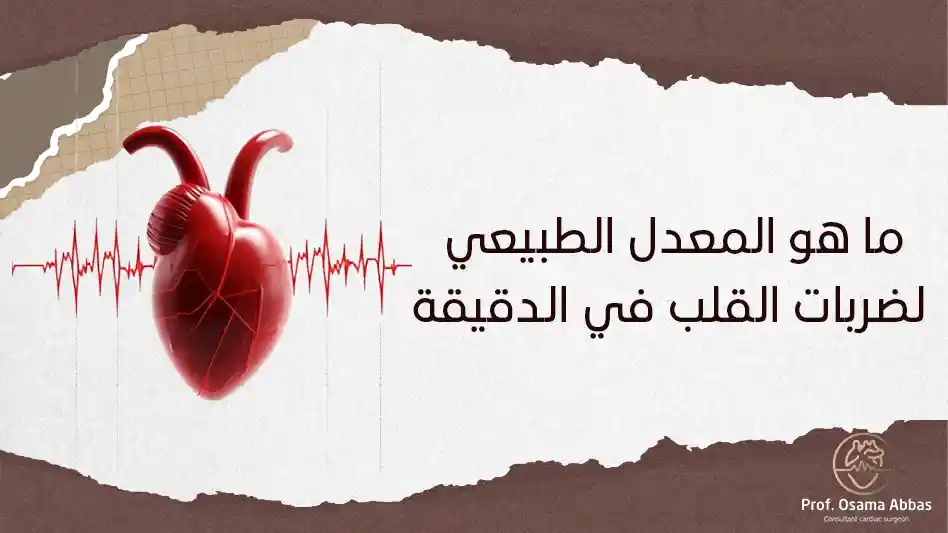 ما هو المعدل الطبيعي لضربات القلب في الدقيقة